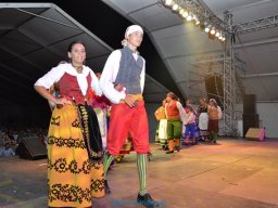 Festival de Folkore en Mula